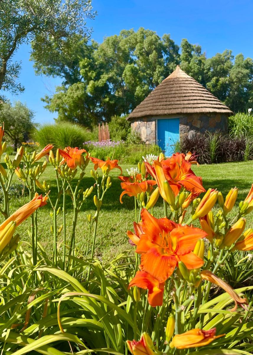 Is Cheas wine farm boutique hotel