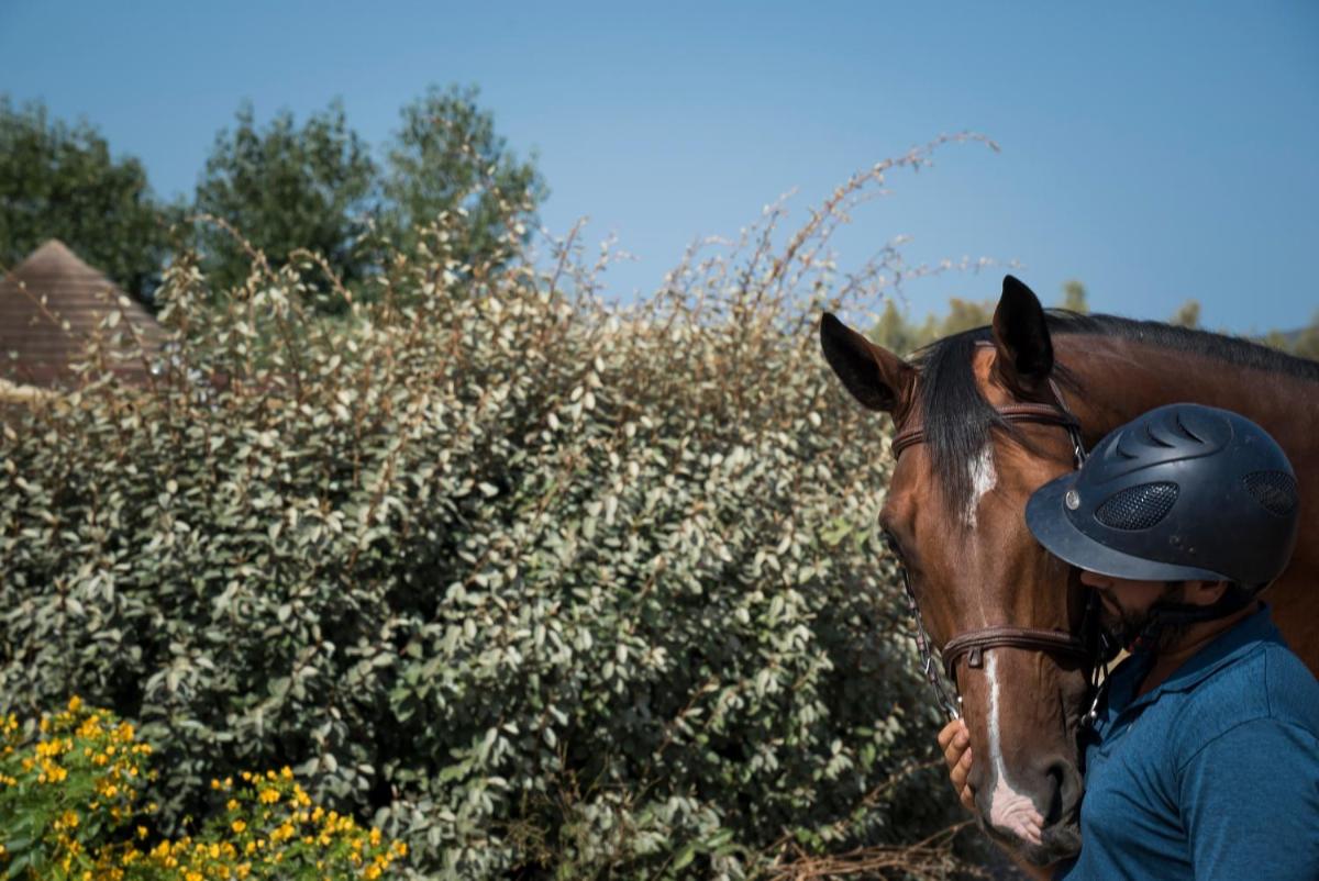 Is Cheas wine farm boutique hotel