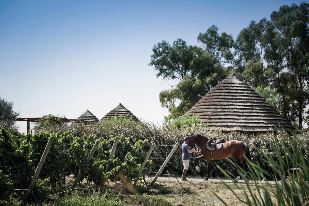 Is Cheas wine farm boutique hotel