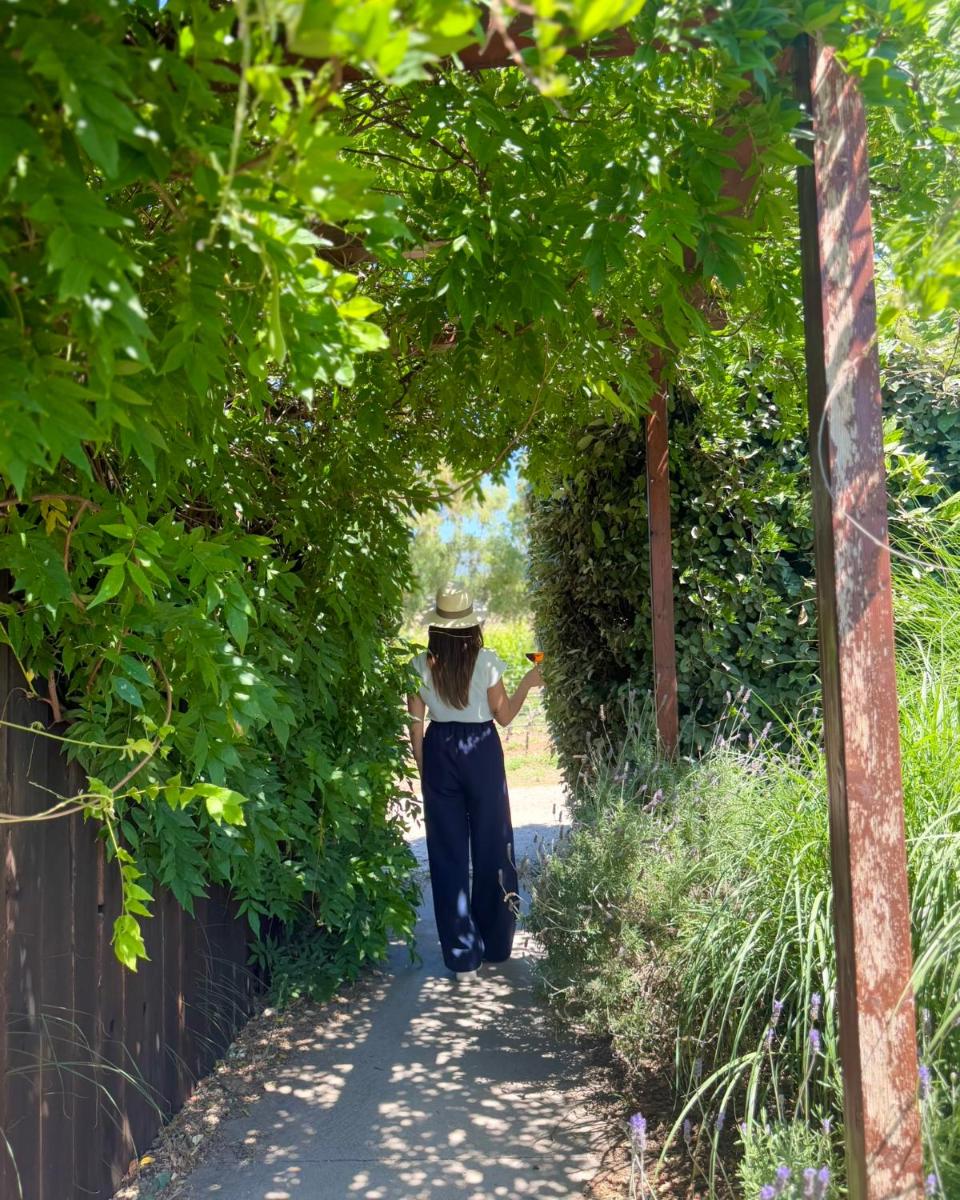 Is Cheas wine farm boutique hotel