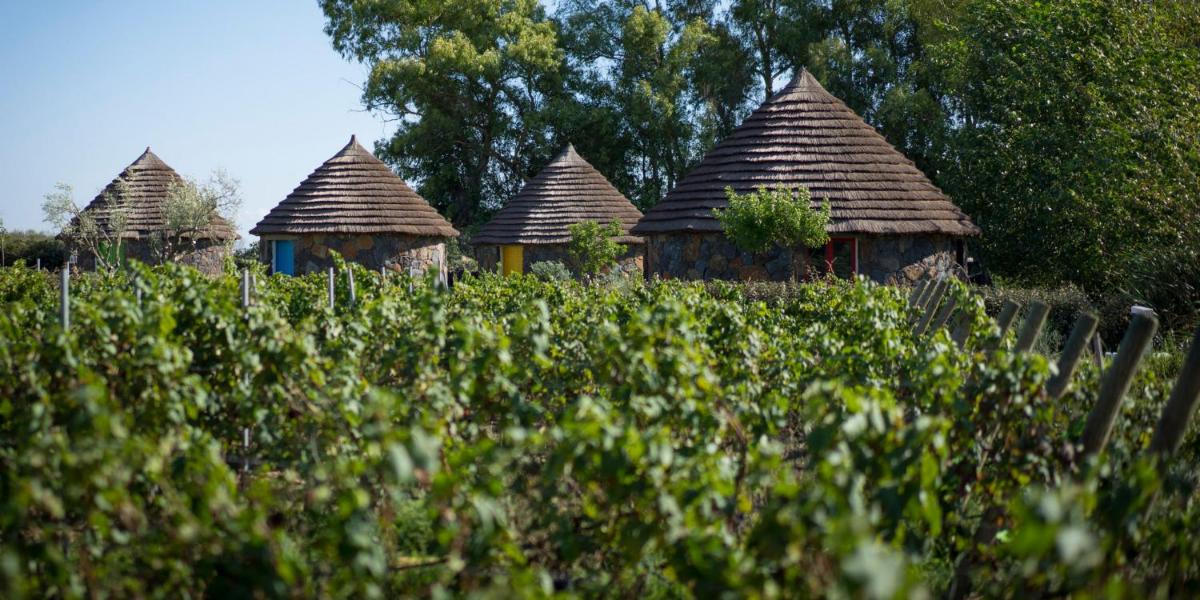 Is Cheas wine farm boutique hotel