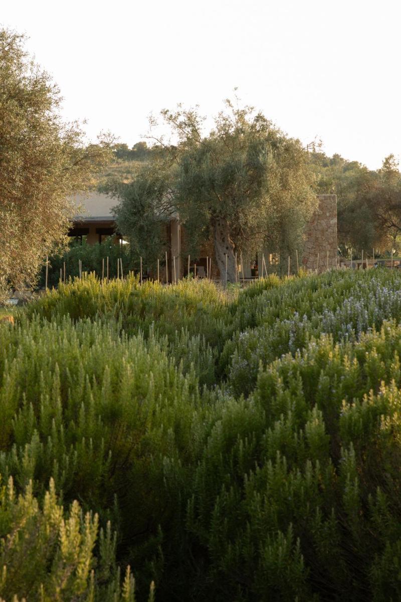 IUTA Farm