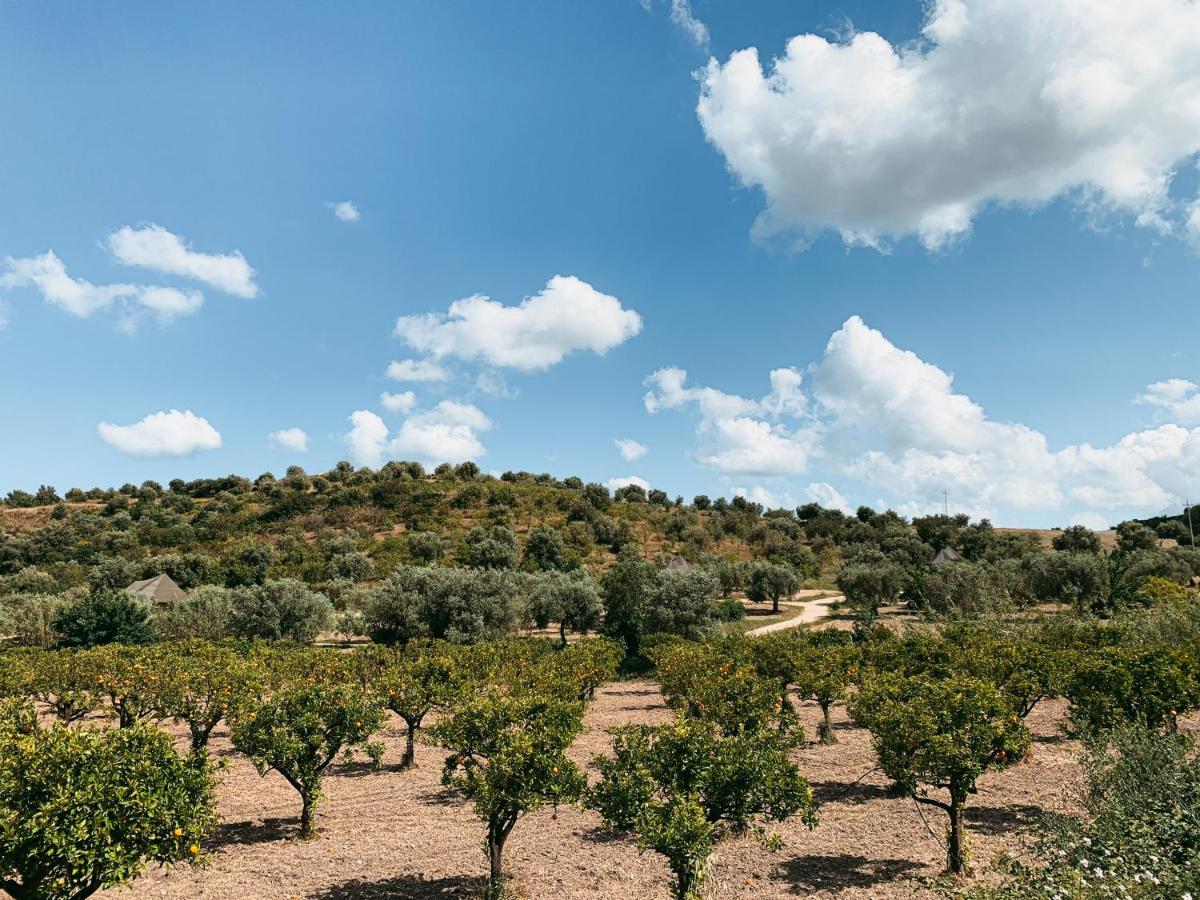 IUTA Farm