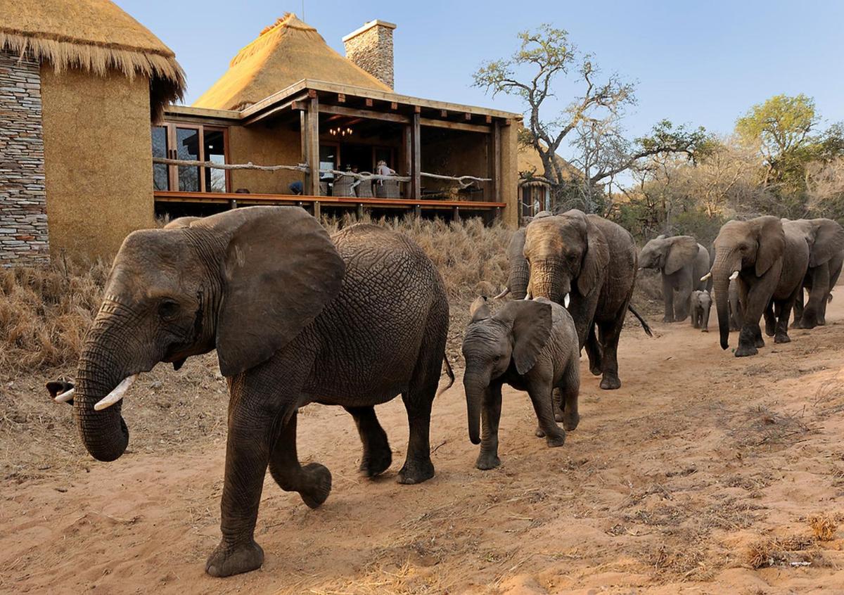 Jabulani Safari Relais & Chateaux