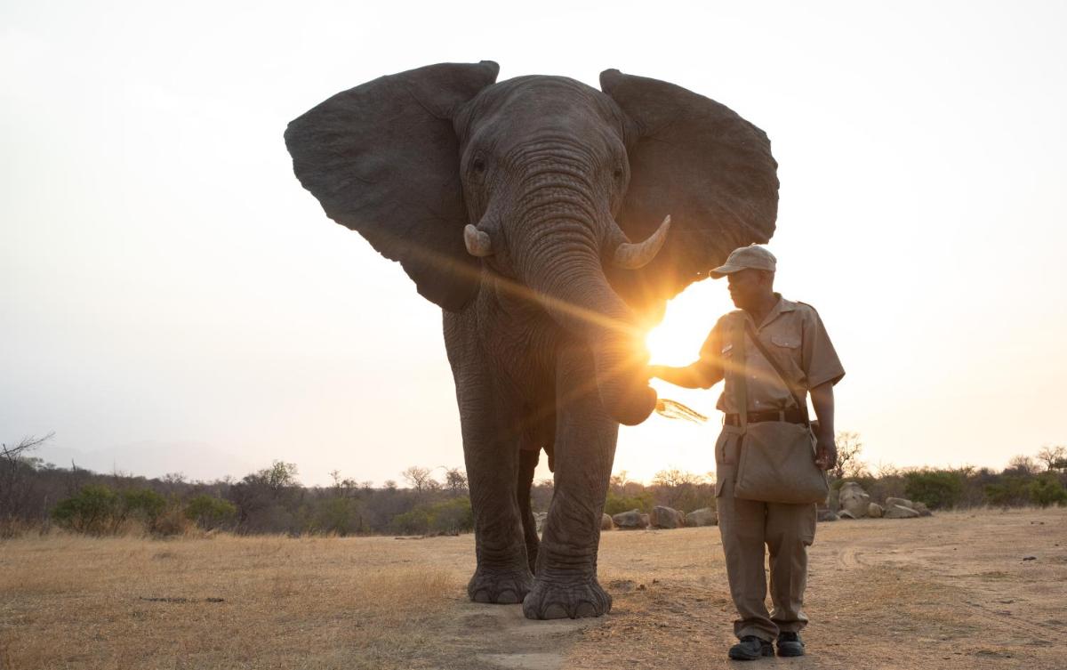 Jabulani Safari Relais & Chateaux