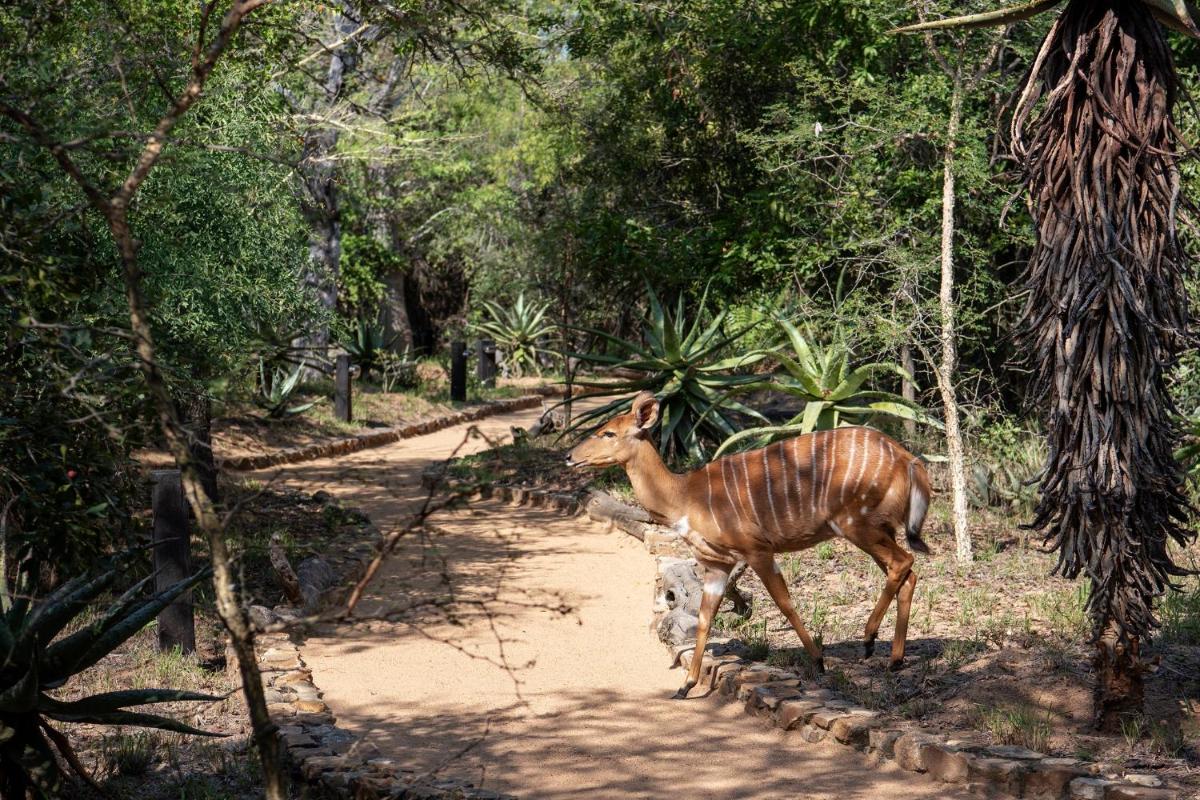 Jabulani Safari Relais & Chateaux