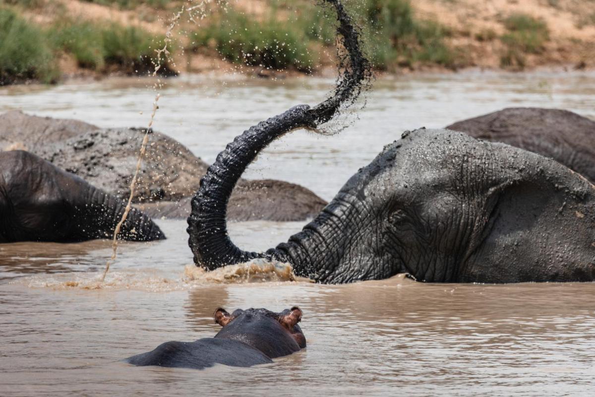 Jabulani Safari Relais & Chateaux