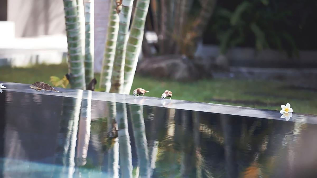 JEstate villas & guest houses - Jimbaran