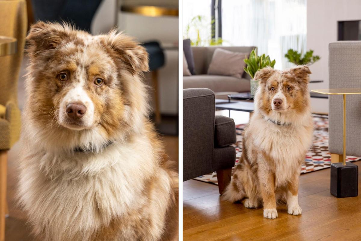 James Boutique Hôtel Colmar centre