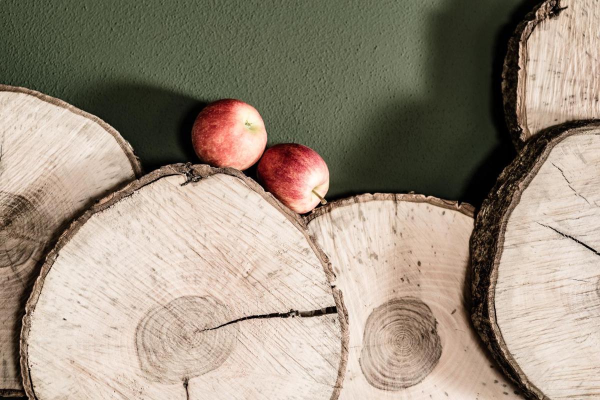 Josef Mountain Resort