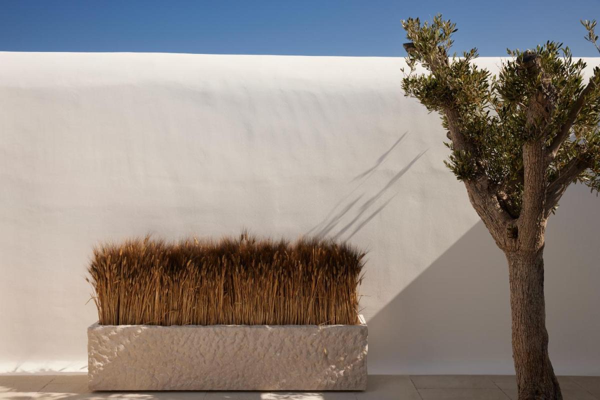 Kalesma Mykonos