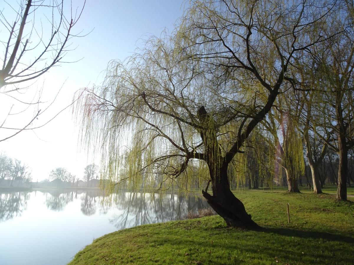 Károlyi Kastély Hotel & Restaurant