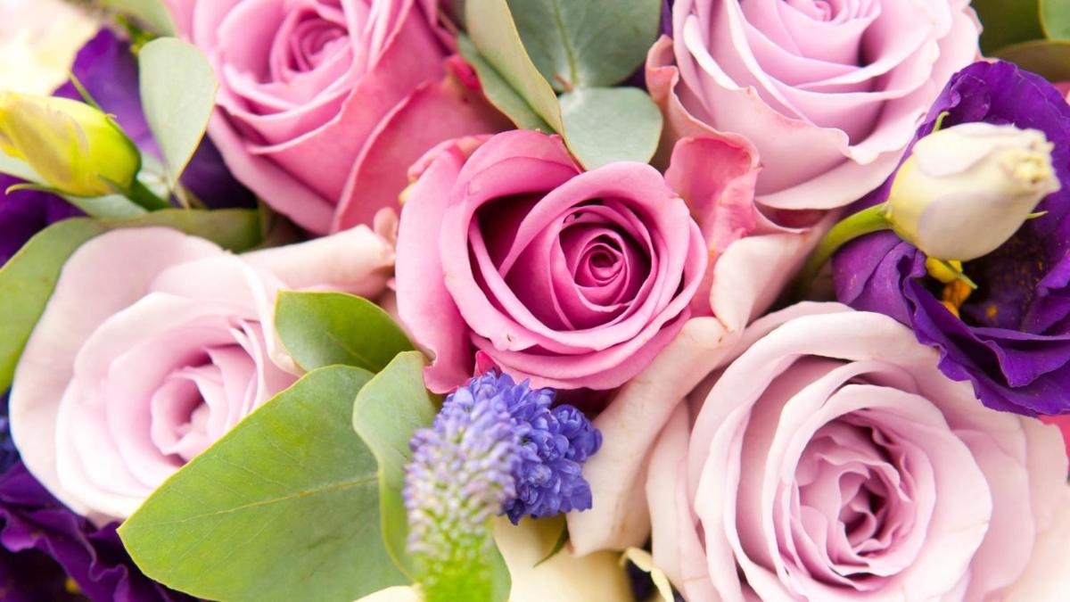 Kempinski Hotel Aqaba