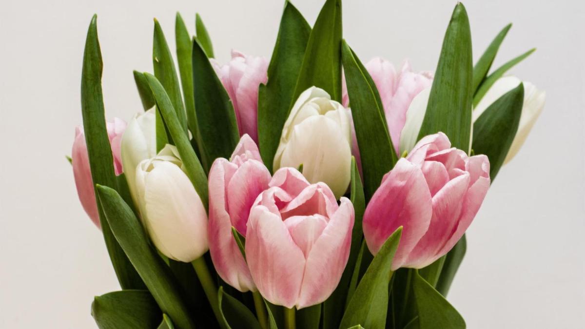 Kempinski Hotel Aqaba