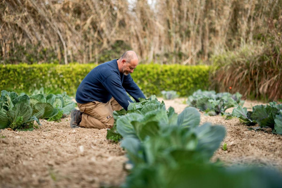 Kempinski Hotel San Lawrenz