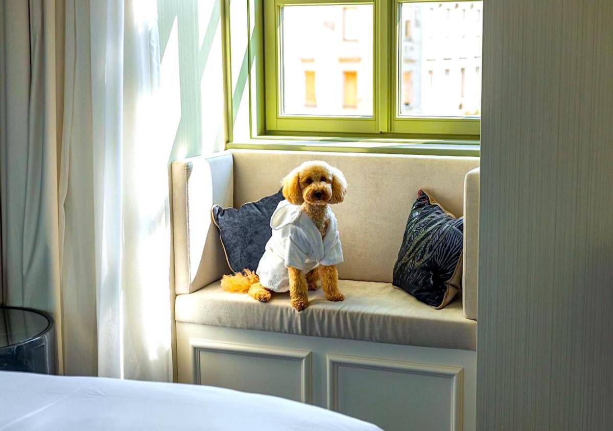 Kimpton BEM Budapest by IHG