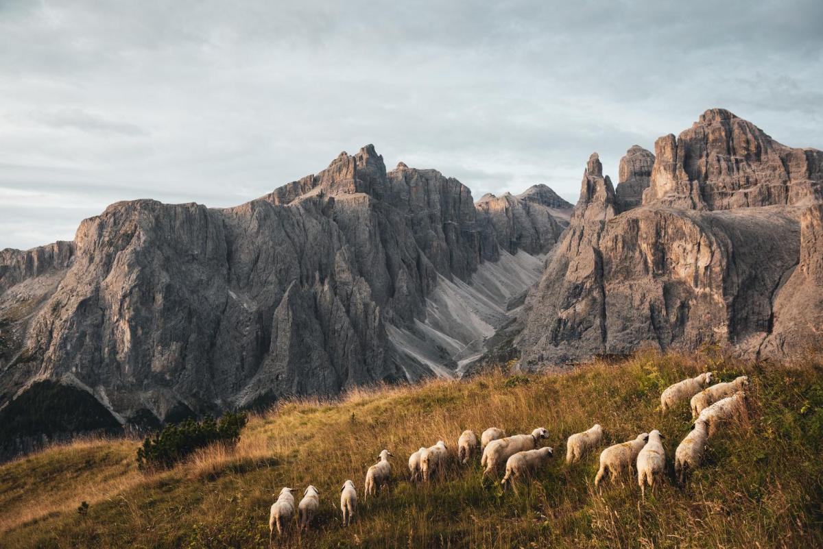 Kolfuschgerhof Mountain Resort