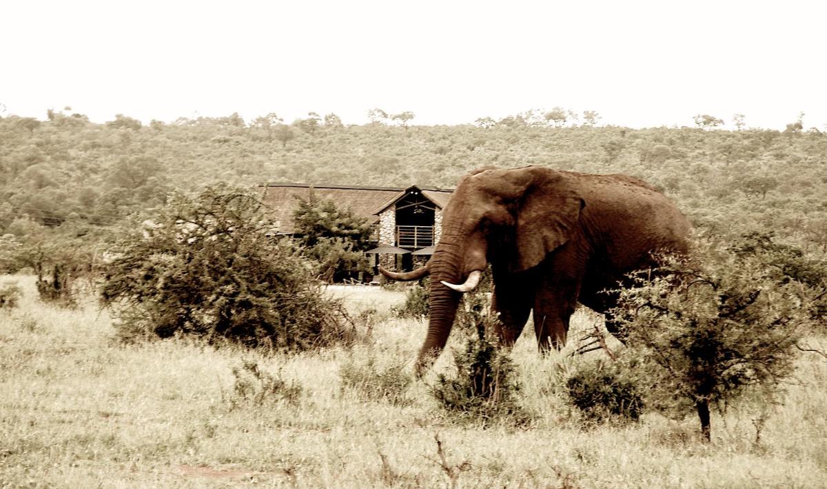 Kruger Sunset Lodge
