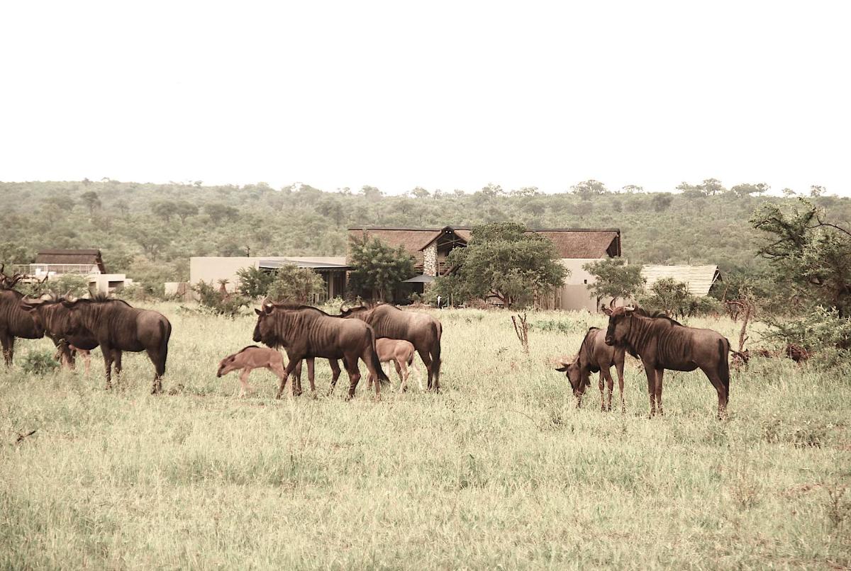 Kruger Sunset Lodge