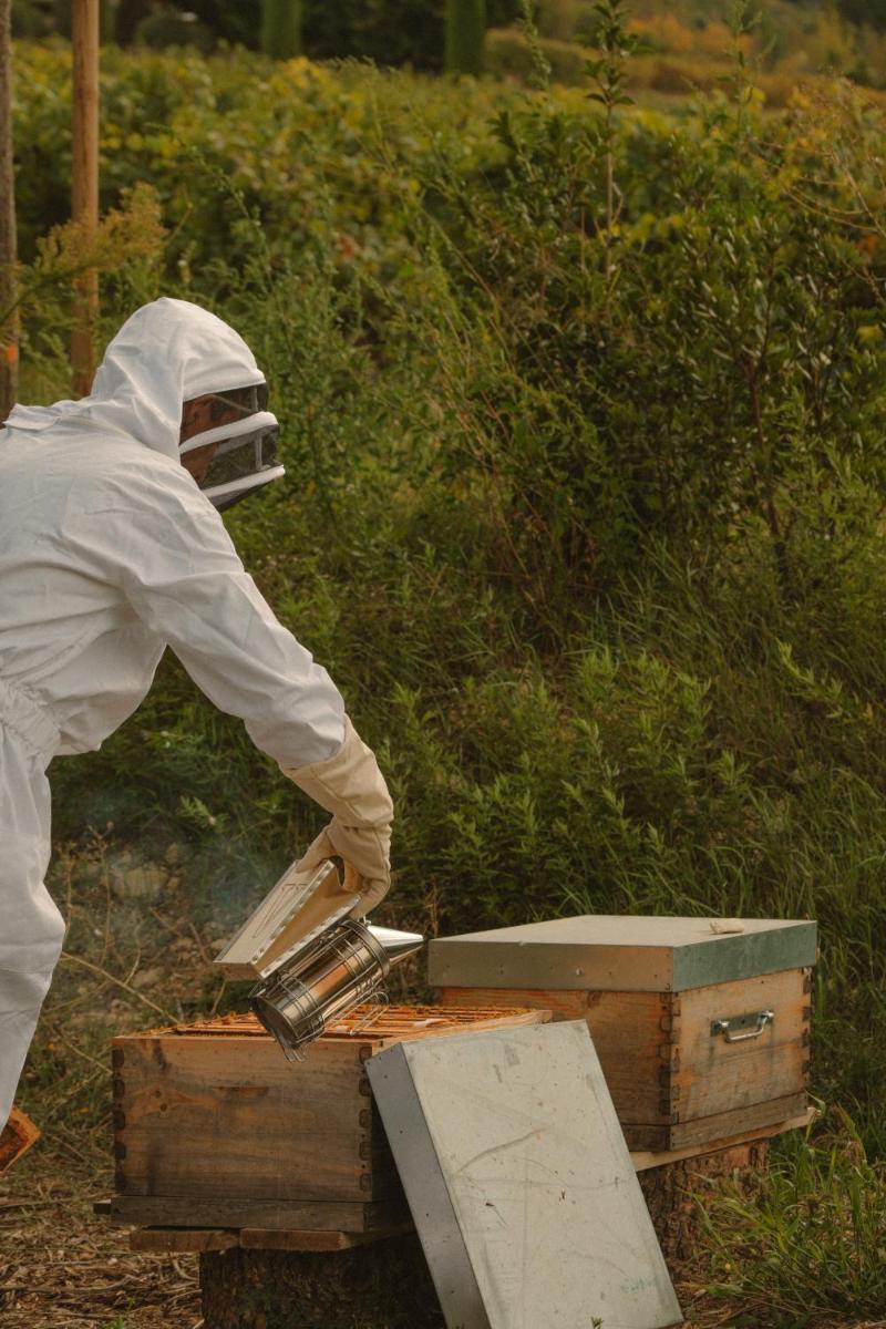 La Bastide de Marie, Maisons et Hôtels Sibuet