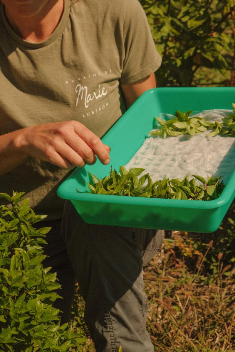 La Bastide de Marie, Maisons et Hôtels Sibuet