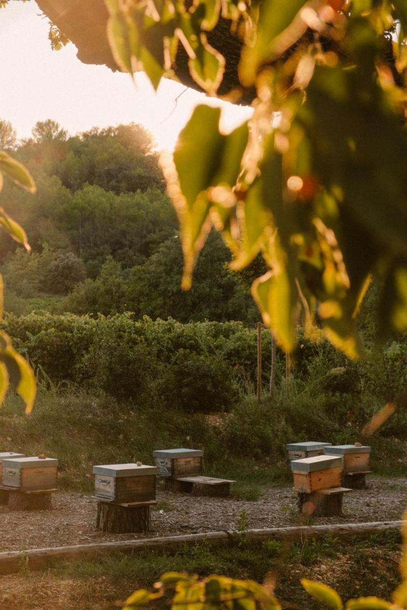 La Bastide de Marie, Maisons et Hôtels Sibuet