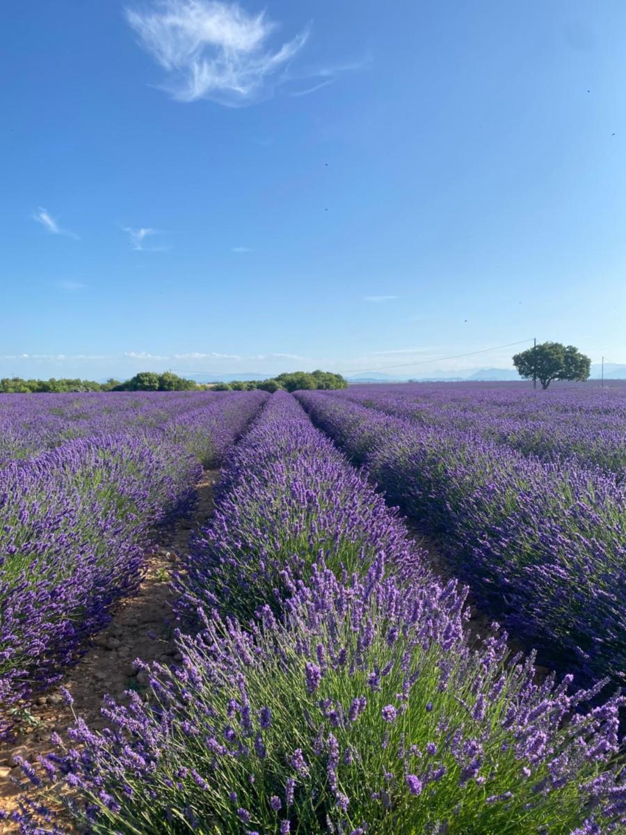 La Bastide Saint Georges & Spa