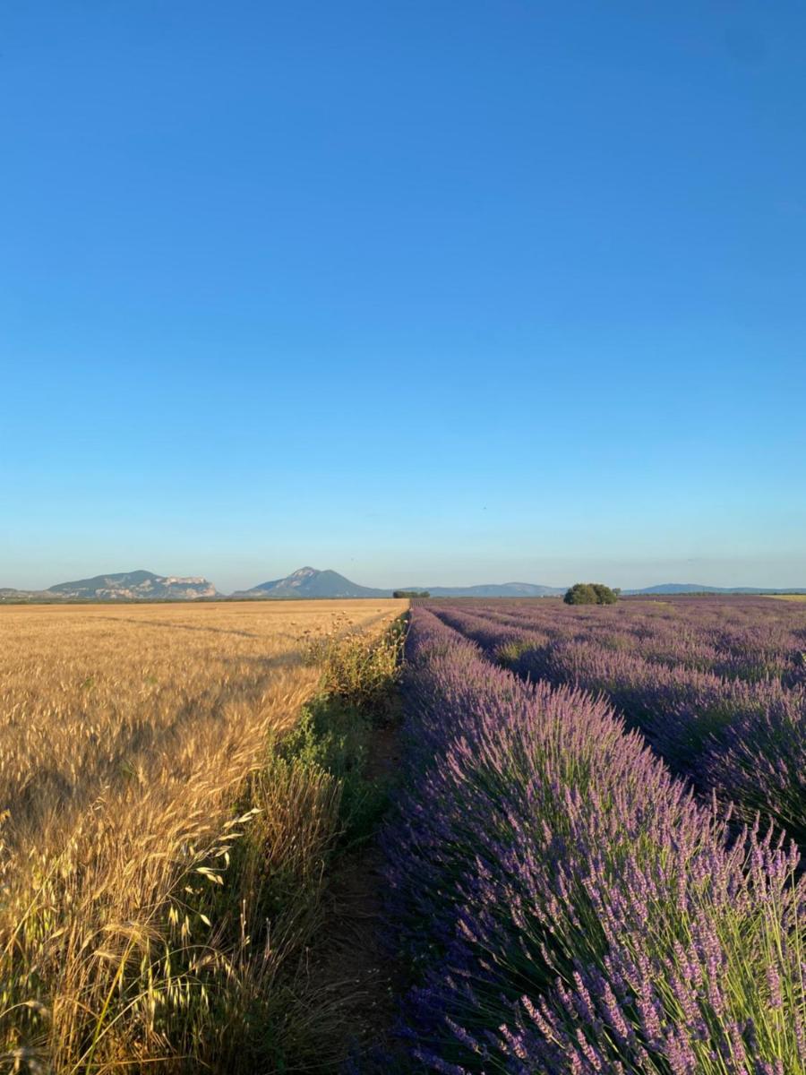 La Bastide Saint Georges & Spa