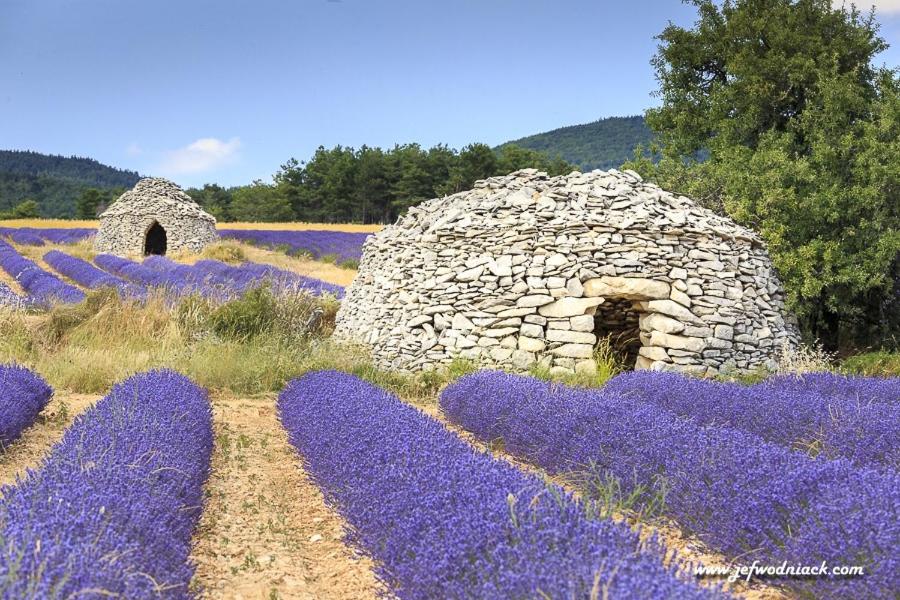 La Bastide Saint Georges & Spa
