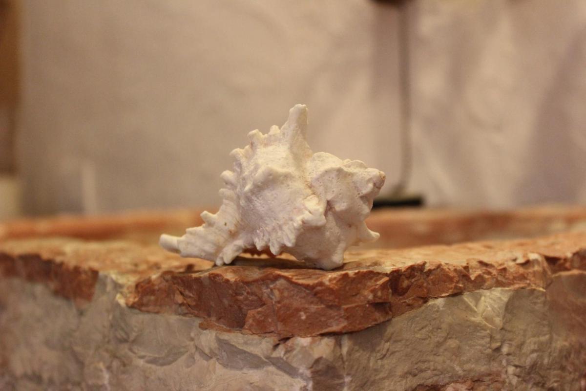 B&B - Relais de charme la Caminella