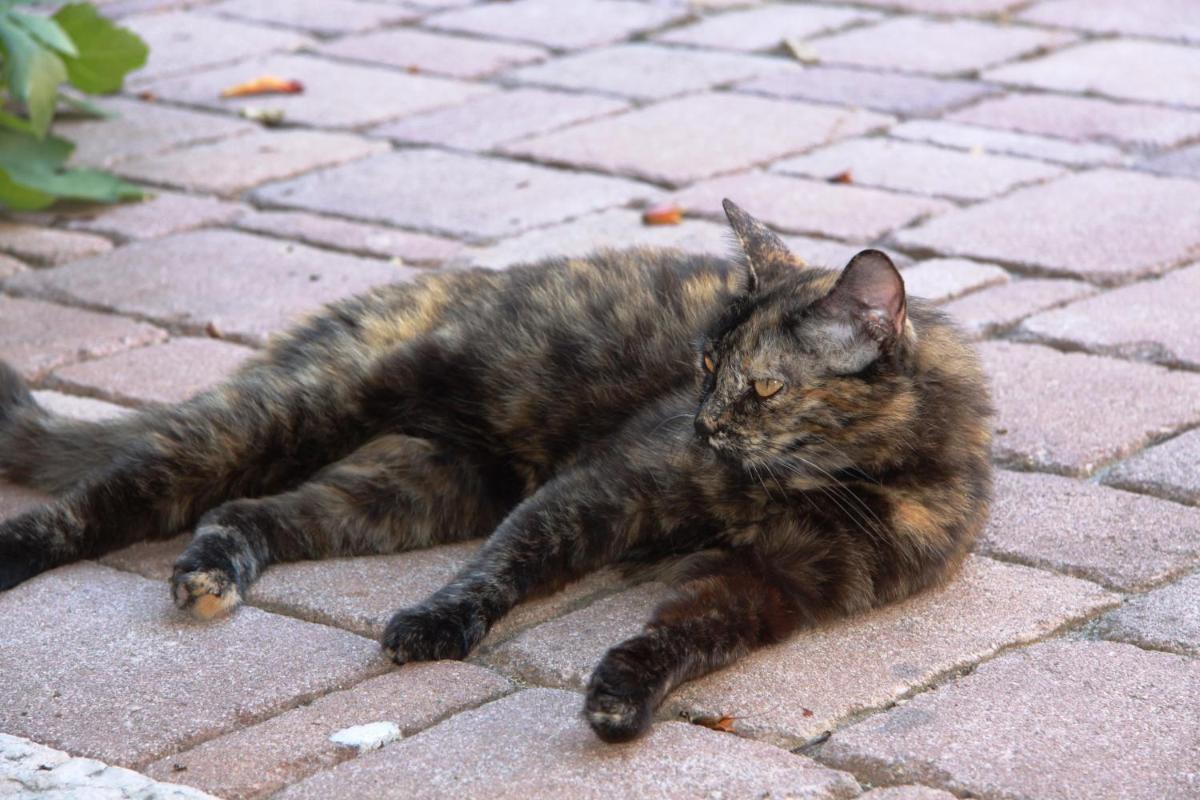 B&B - Relais de charme la Caminella