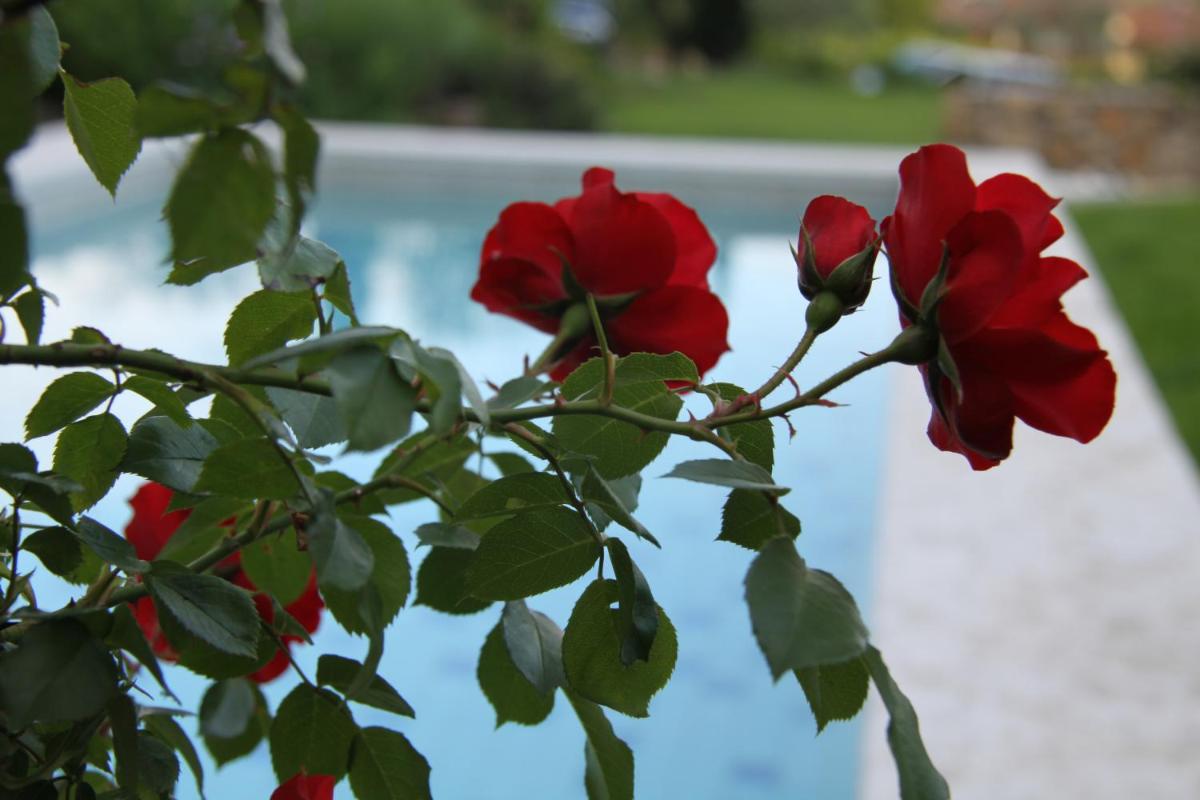 B&B - Relais de charme la Caminella