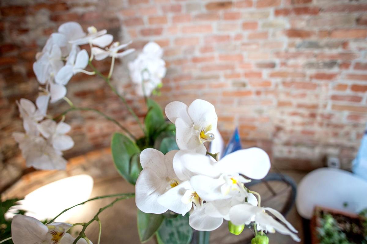 La Canonica - charming self-catering apartments in Nizza Monferrato