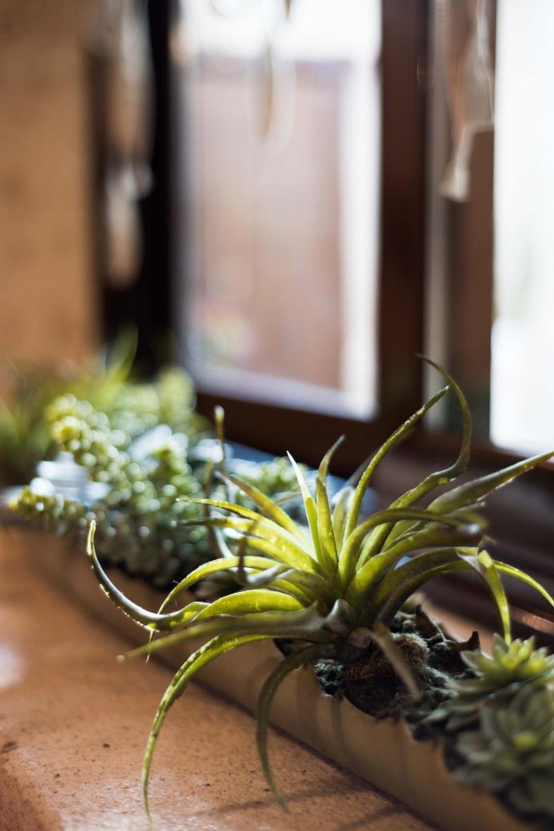 La Casa de la Vieja - Rustic & Charming Appartments