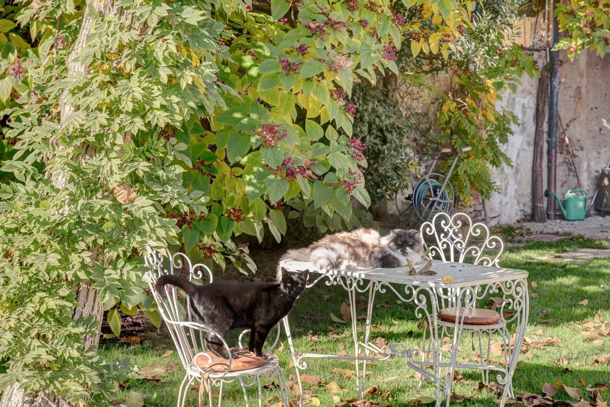 La Casa Delle Grottesche