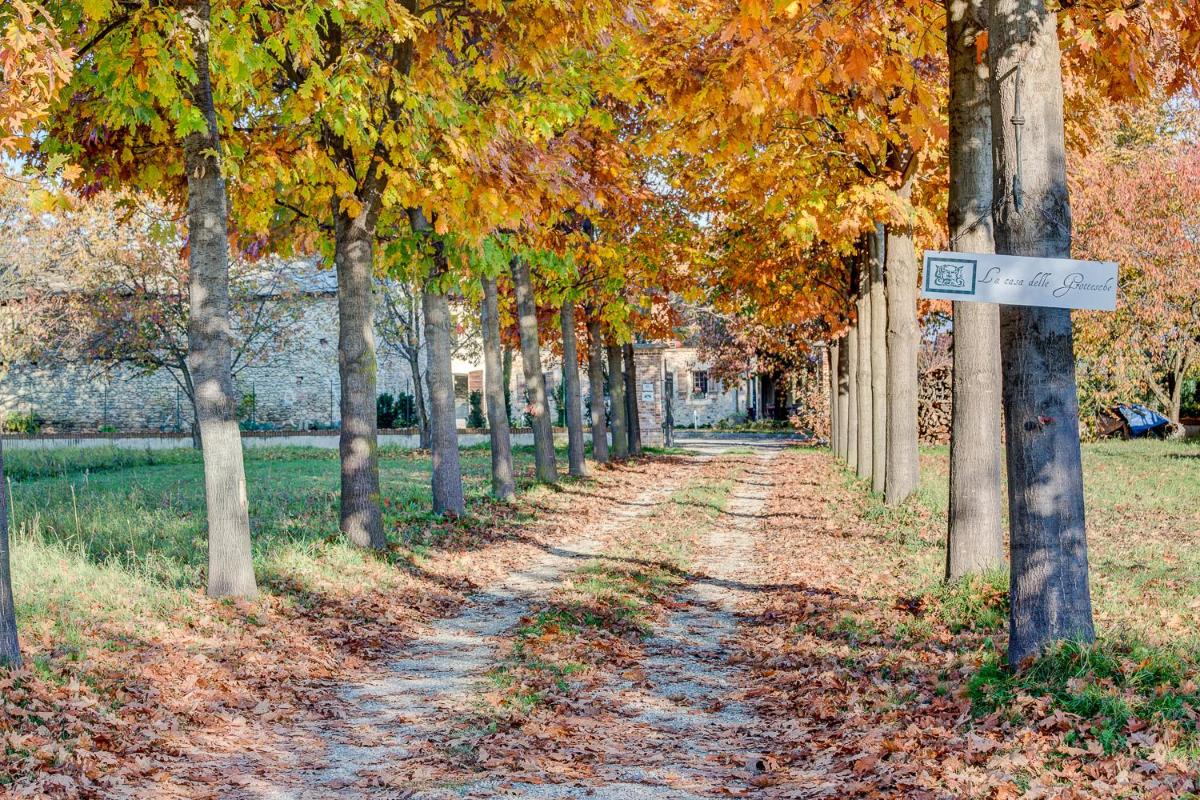 La Casa Delle Grottesche