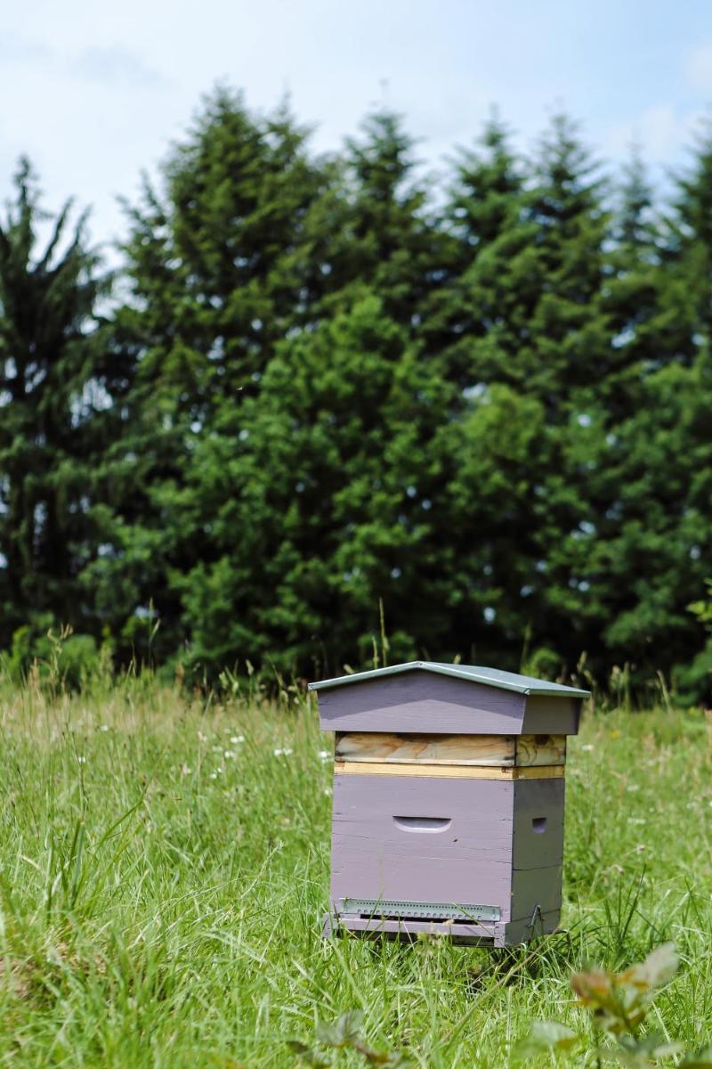 La Chapelle Saint Martin