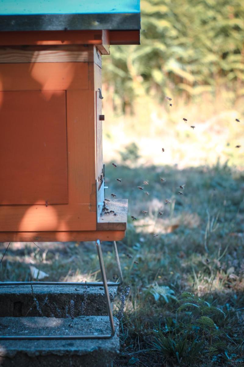 La Chapelle Saint Martin