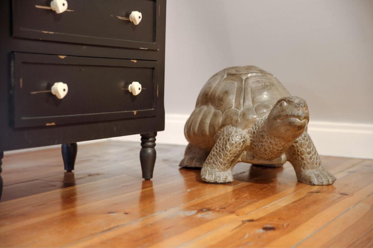 La Chartreuse du Bignac - Teritoria