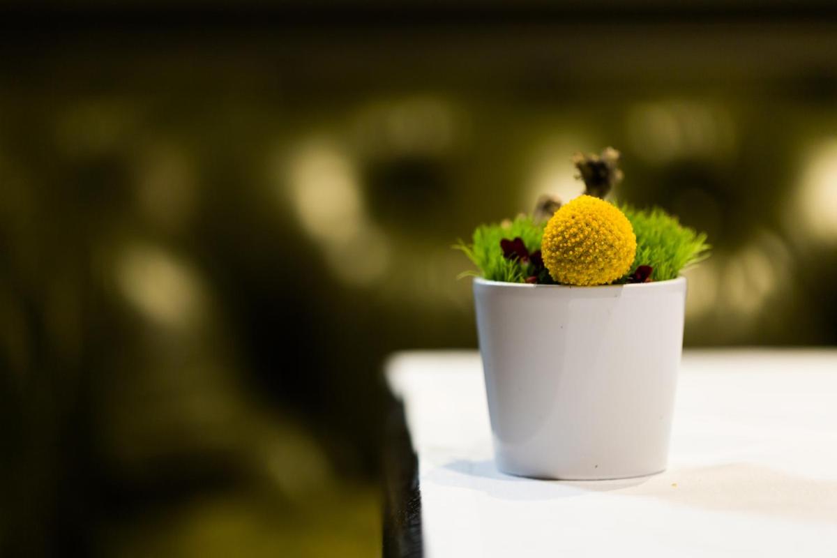 La Cour des Consuls Hotel & Spa Toulouse - MGallery Collection