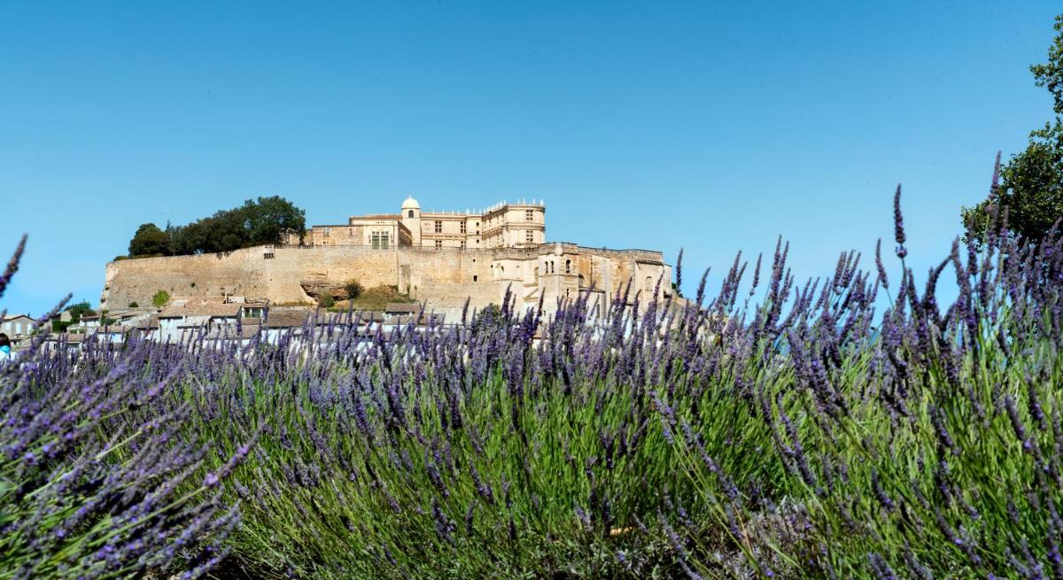La Ferme Chapouton - Teritoria