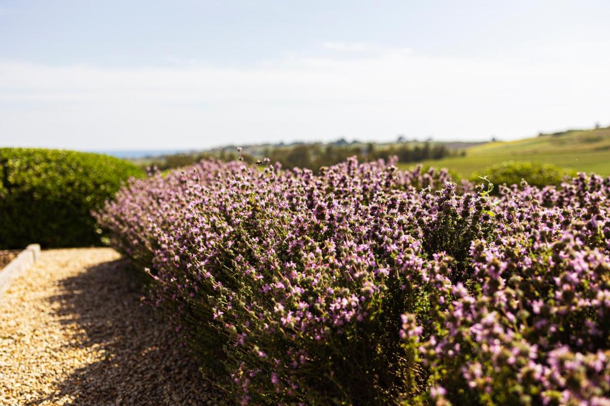 La Foresteria Planeta Wine Resort & Beach Club