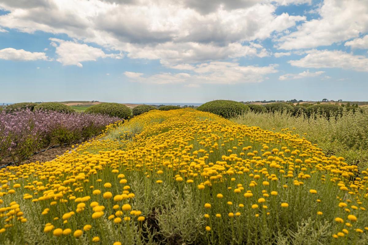 La Foresteria Planeta Wine Resort & Beach Club