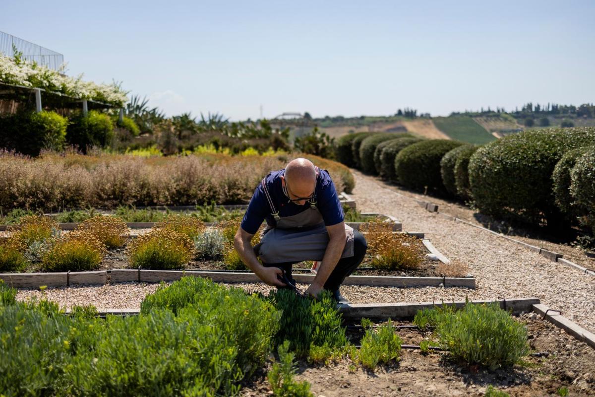 La Foresteria Planeta Wine Resort & Beach Club