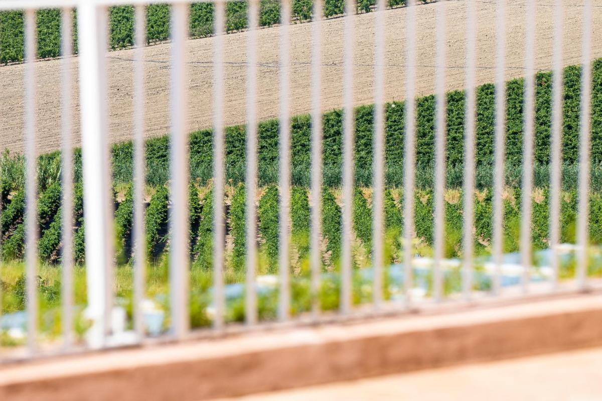 La Foresteria Planeta Wine Resort & Beach Club