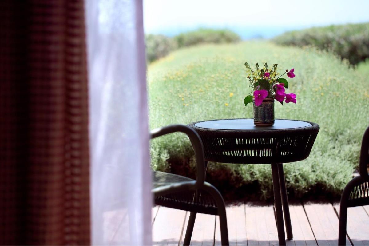 La Foresteria Planeta Wine Resort & Beach Club