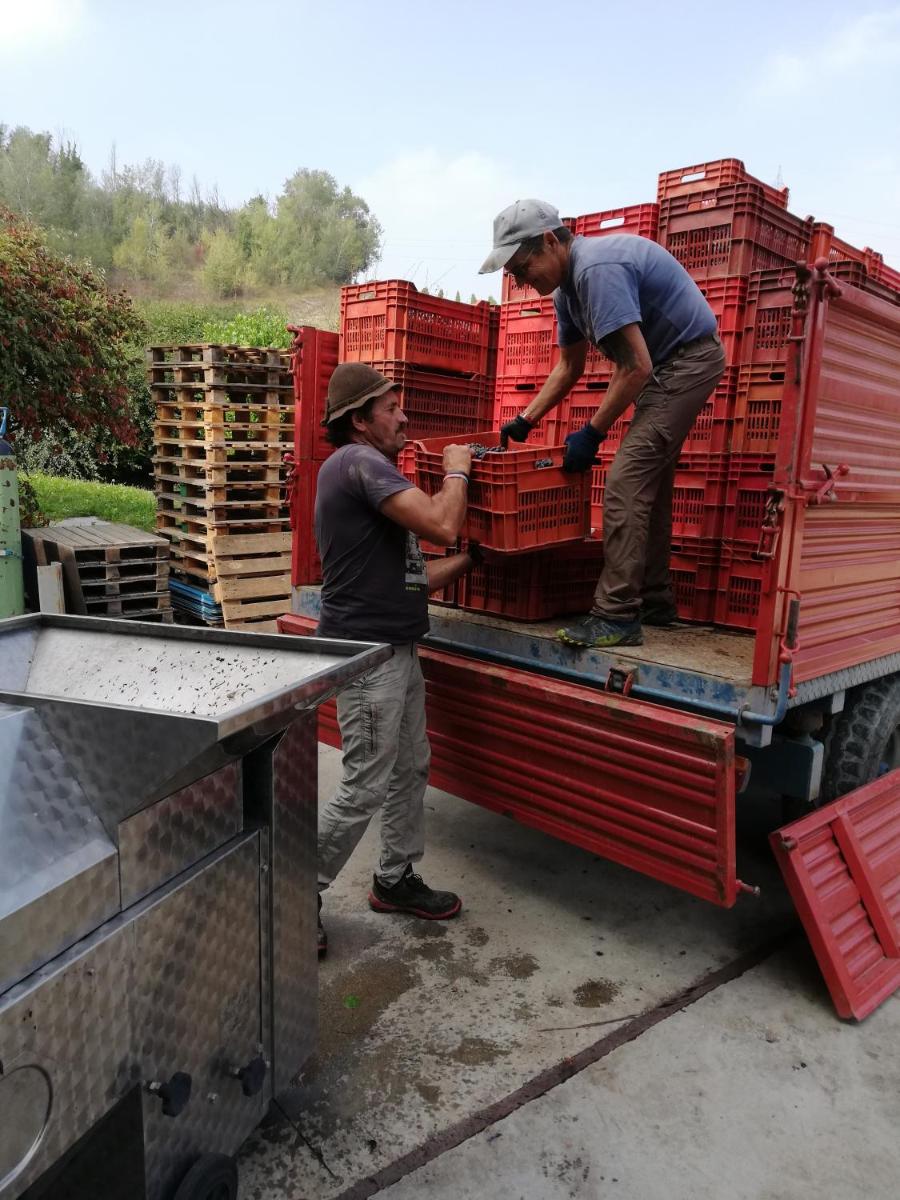 La Giribaldina Winery & Farmhouse