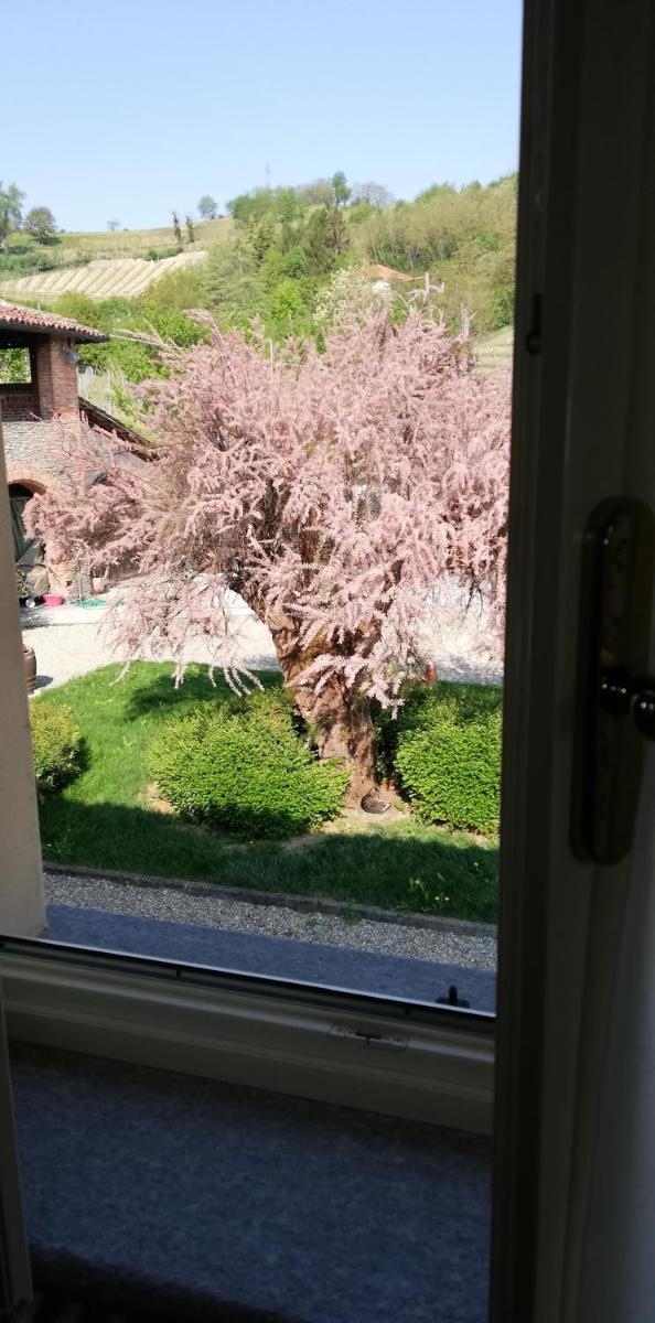 La Giribaldina Winery & Farmhouse