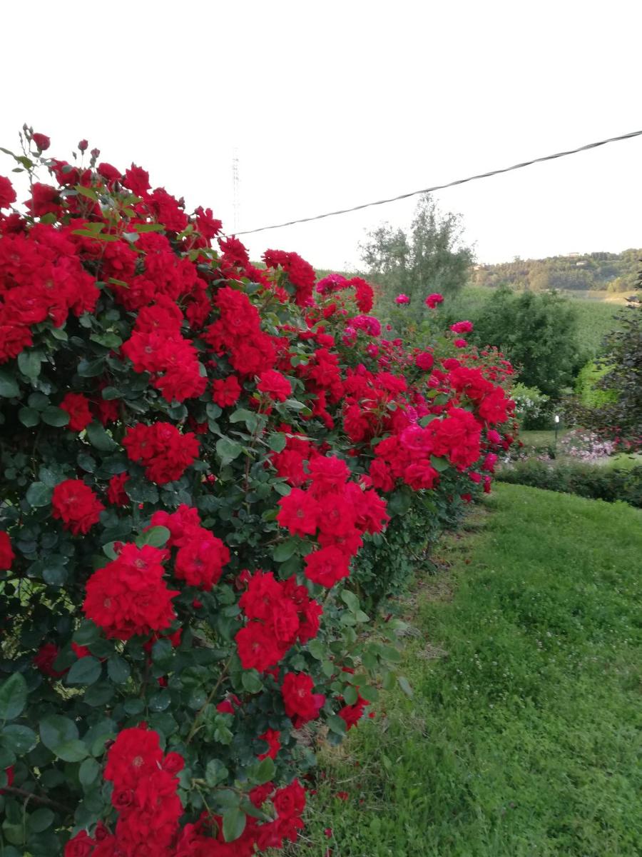 La Giribaldina Winery & Farmhouse