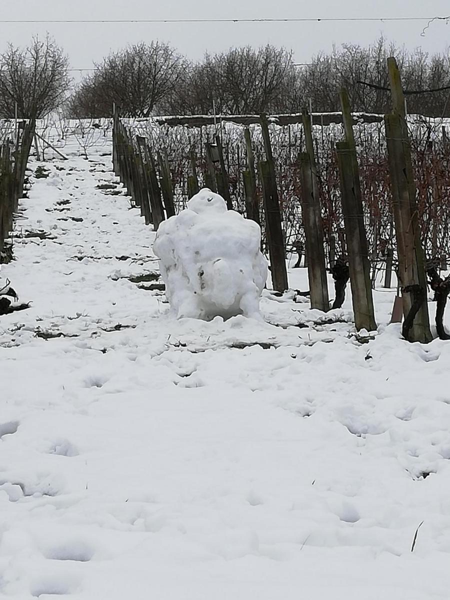 La Giribaldina Winery & Farmhouse